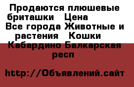Продаются плюшевые бриташки › Цена ­ 2 500 - Все города Животные и растения » Кошки   . Кабардино-Балкарская респ.